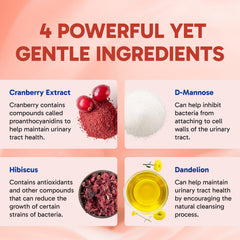 Clinical Effects UT Support cranberry blend highlights antioxidant-rich formula.