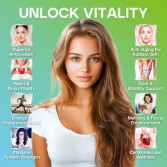 CNCHEF bottle on shelf highlighting vegan, non-GMO formula.