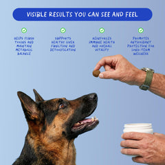 Coco and Luna Milk Thistle for Dogs chews back shows ingredients and benefits.