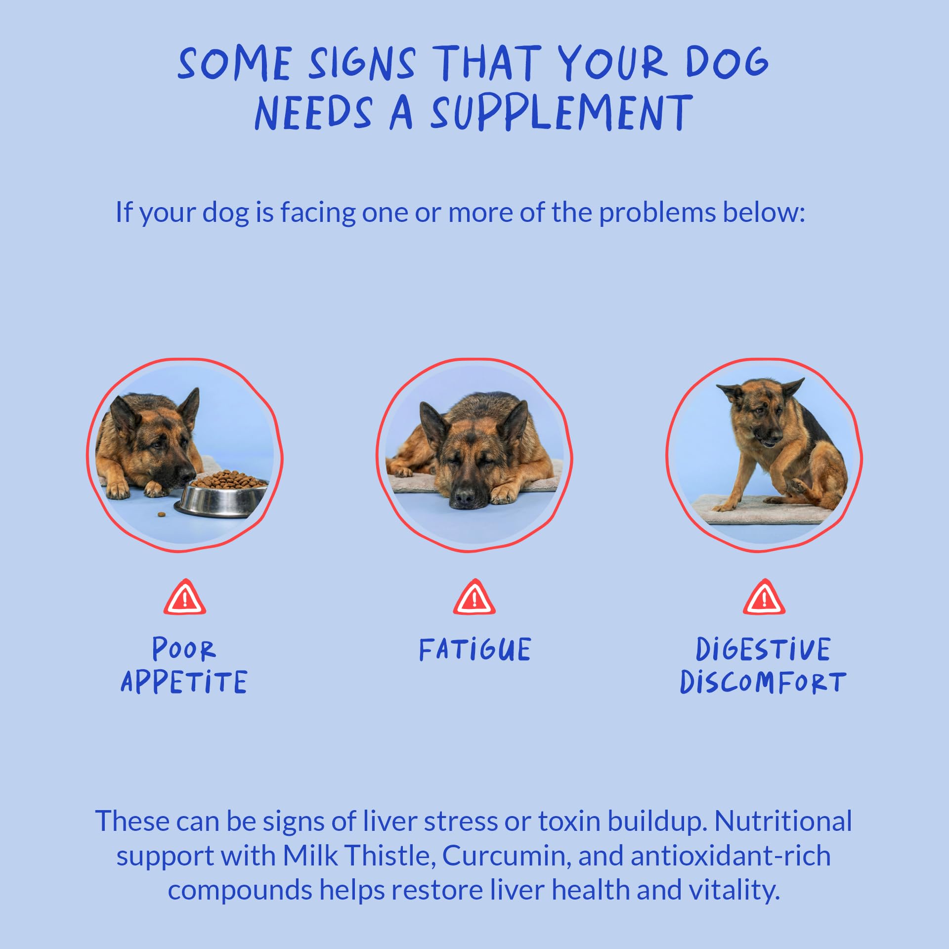 Coco and Luna Milk Thistle for Dogs dandelion root illustration emphasizes holistic support.