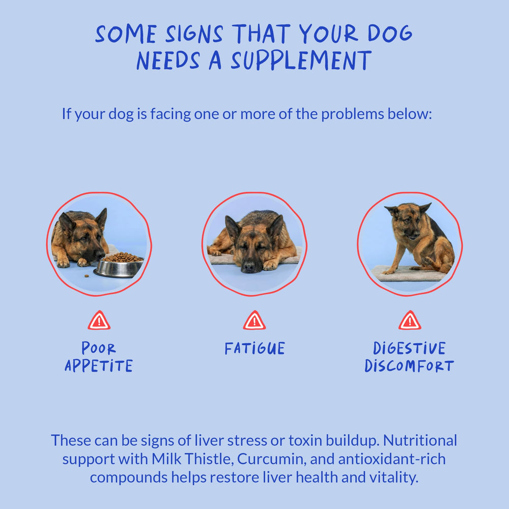 Coco and Luna Milk Thistle for Dogs dandelion root illustration emphasizes holistic support.