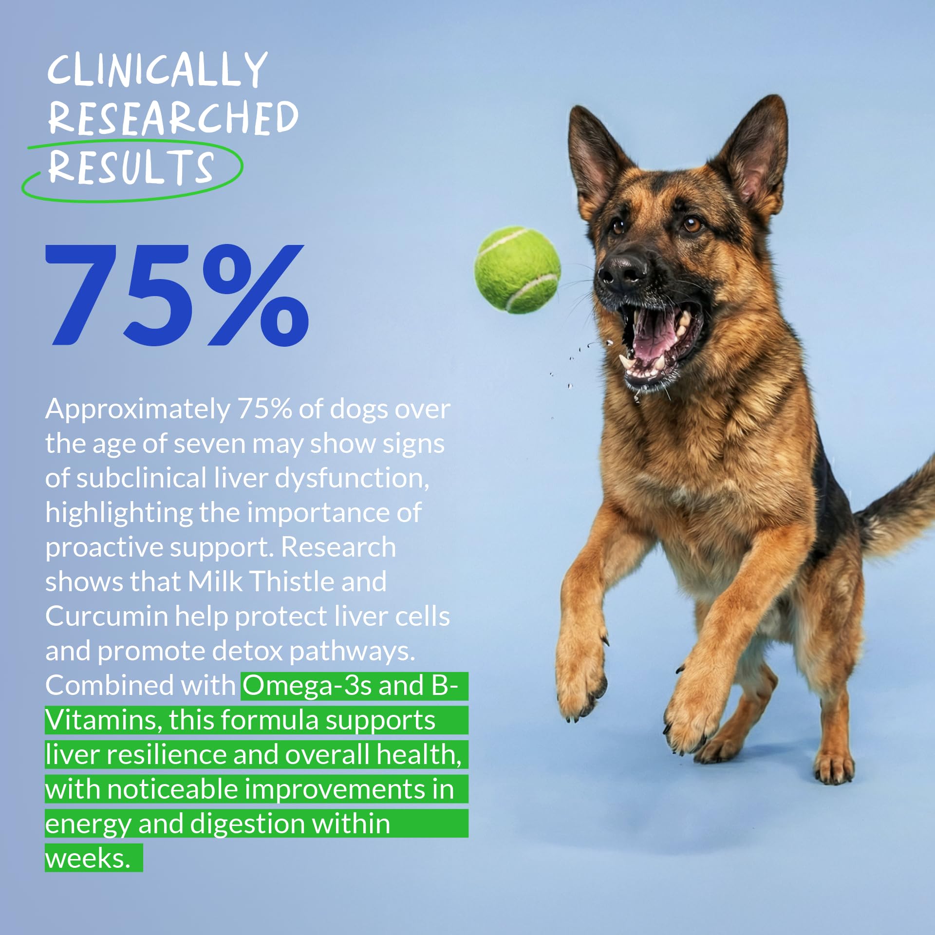 Coco and Luna Milk Thistle for Dogs label closeup highlights formulation quality.
