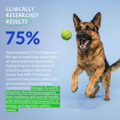 Coco and Luna Milk Thistle for Dogs label closeup highlights formulation quality.