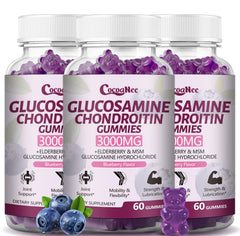 CocoaNee glucosamine chondroitin gummies bottle for daily joint support
