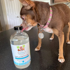 Closeup texture shows clean coconut oil origin.