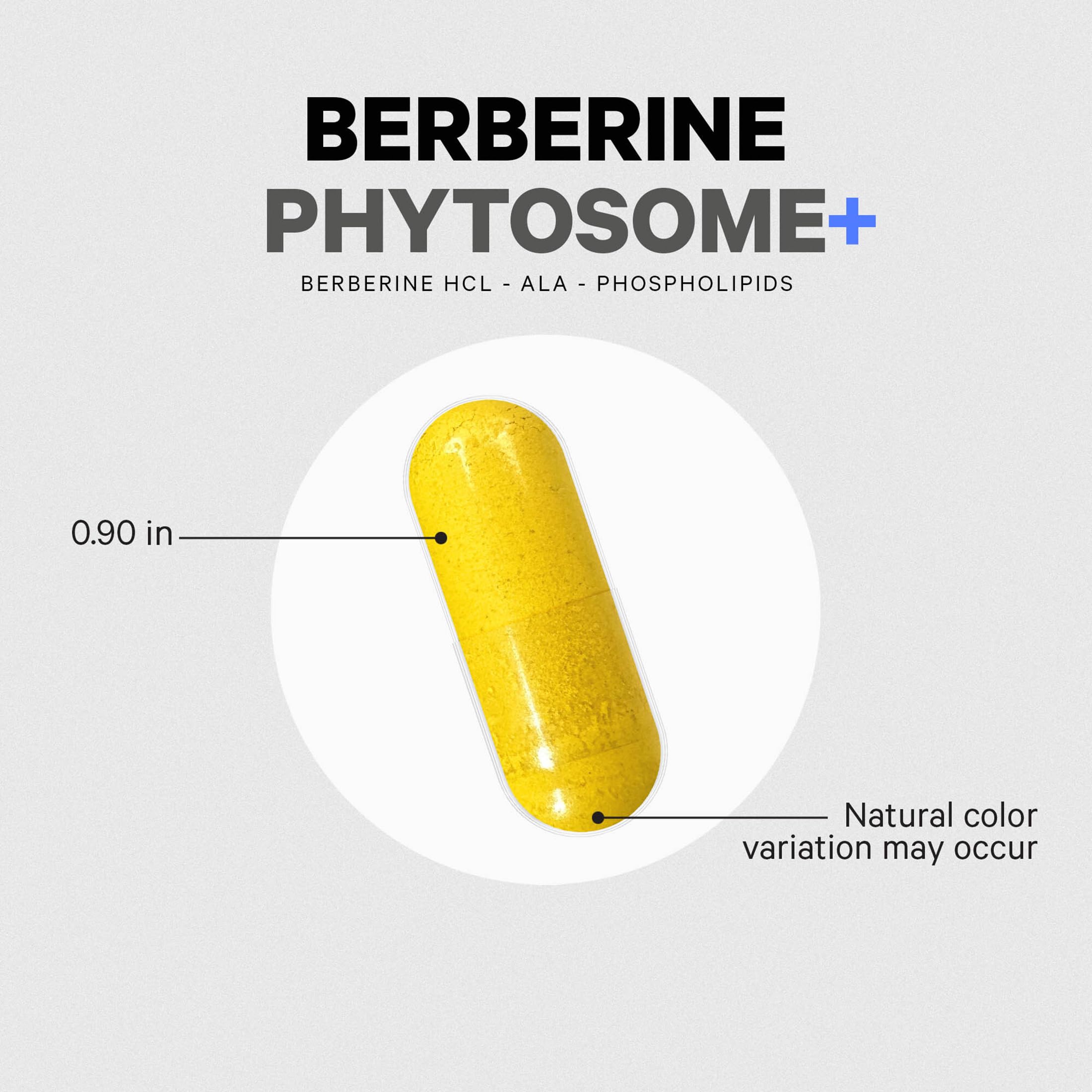 Codeage Berberine Phytosome vegan non-GMO icon on bottle.