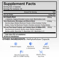Codeage Gut Health Probiotics bottle with SBO strains for gut balance