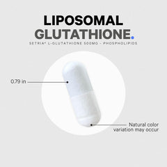 Codeage liposomal delivery system visual highlighting phospholipid complex