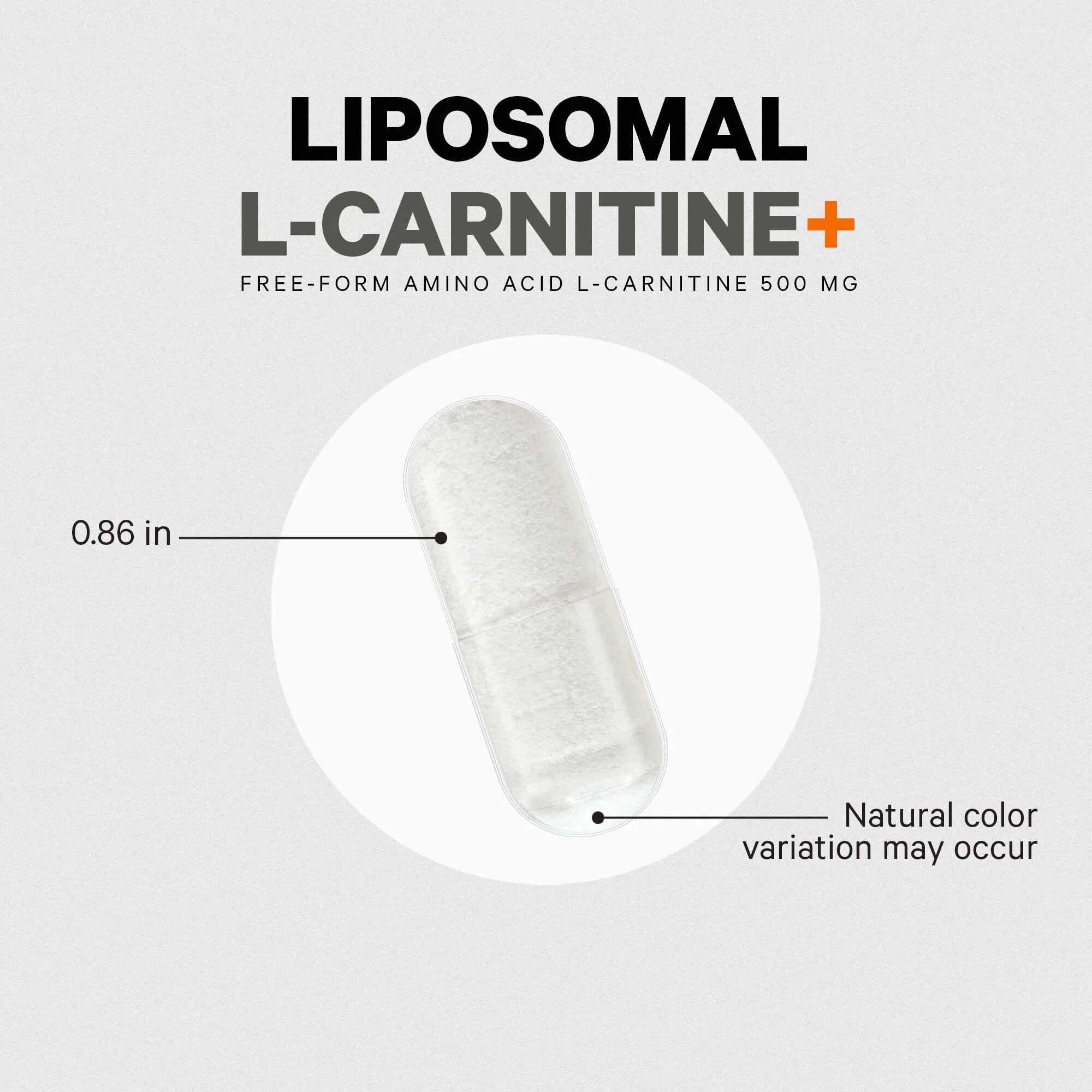 Codeage Liposomal L-Carnitine USA manufacturing stamp on packaging.