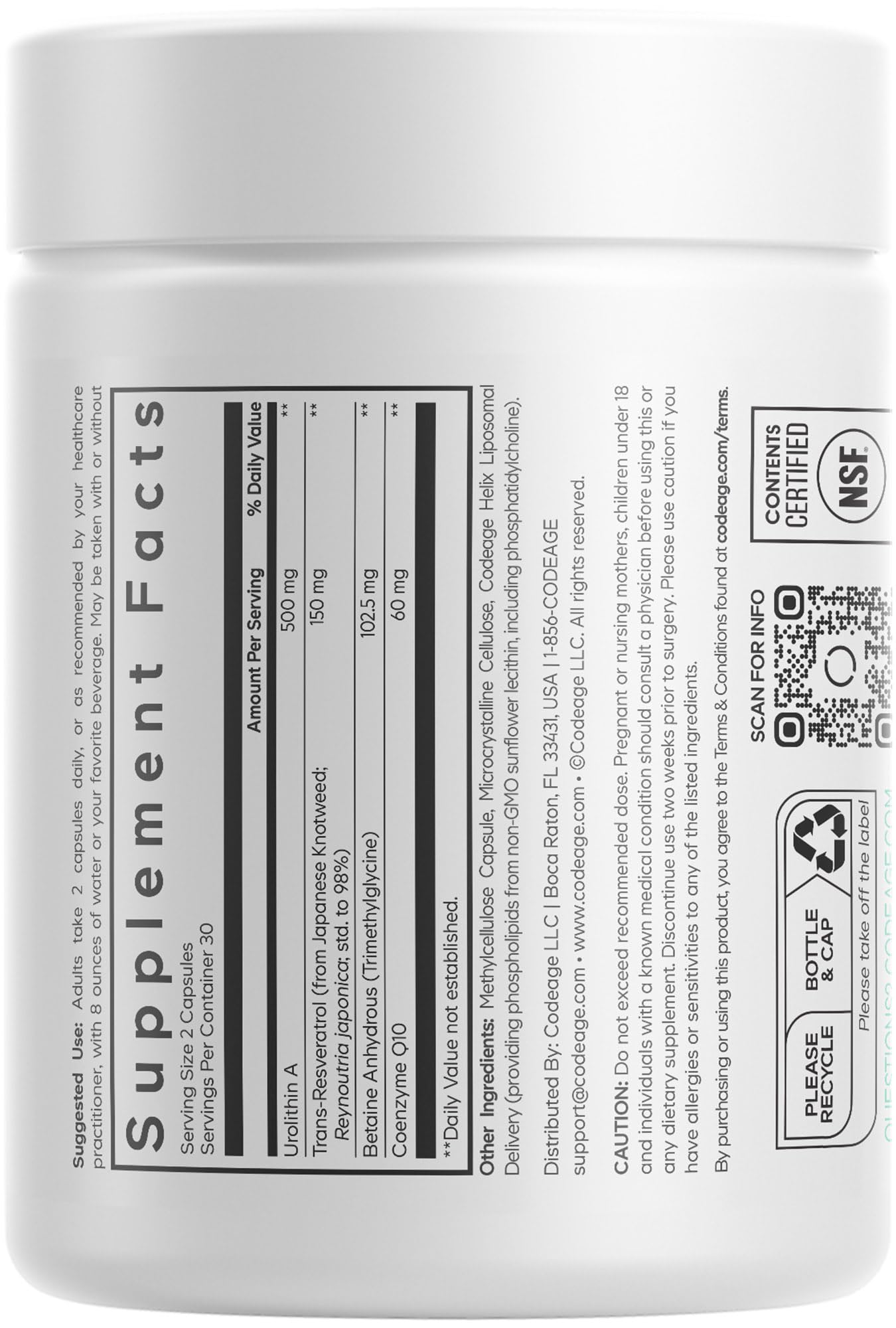 Codeage Liposomal Urolithin A kitchen-use image fits daily routine.