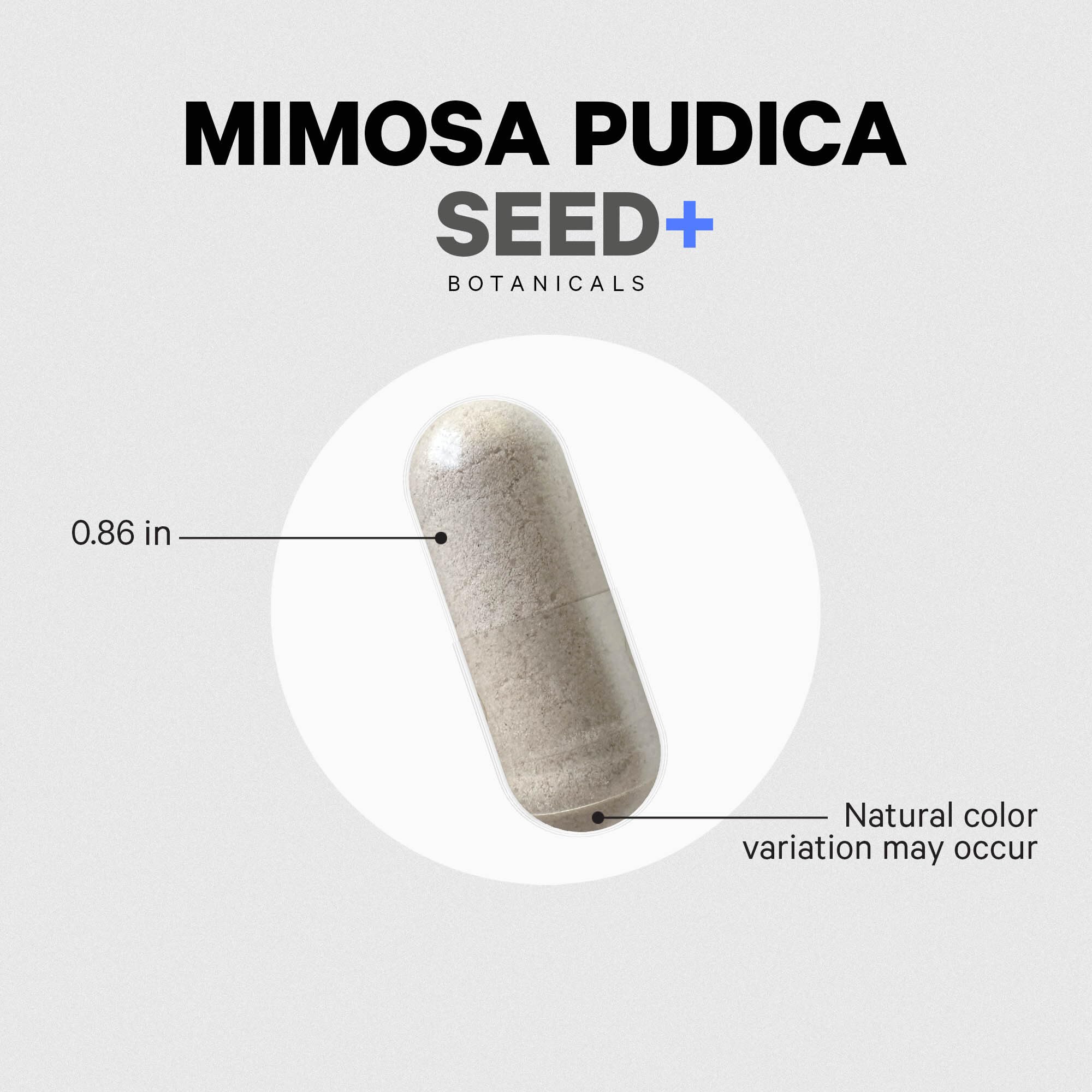 Codeage Mimosa Pudica Seed packaging notes gluten-free dairy-free and soy-free compatibility.