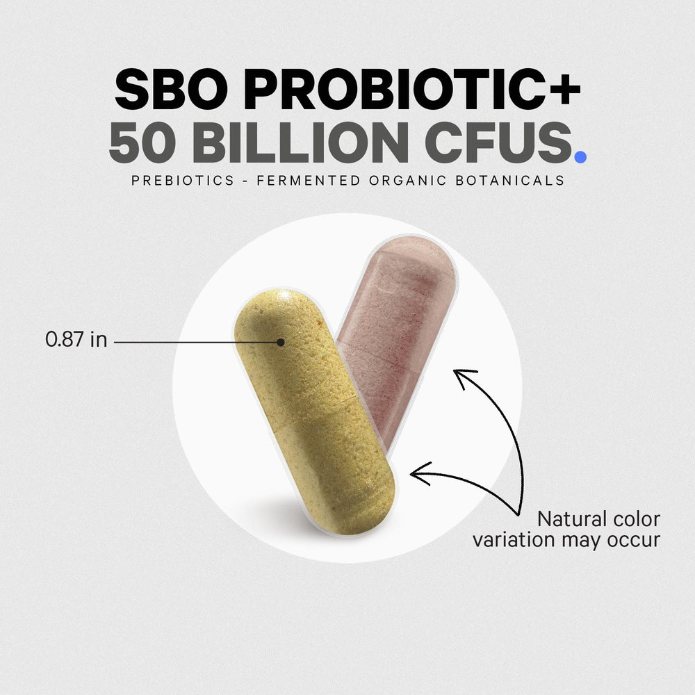 Codeage SBO Probiotic dairy-free and gluten-free formula for sensitive diets.