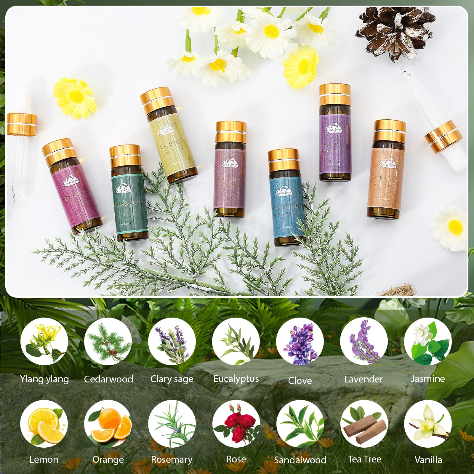 Comdian essential oils arranged for diffuser use and room fragrance.