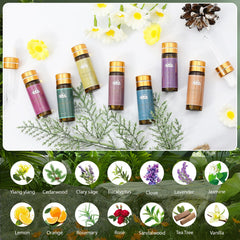 Comdian essential oils arranged for diffuser use and room fragrance.