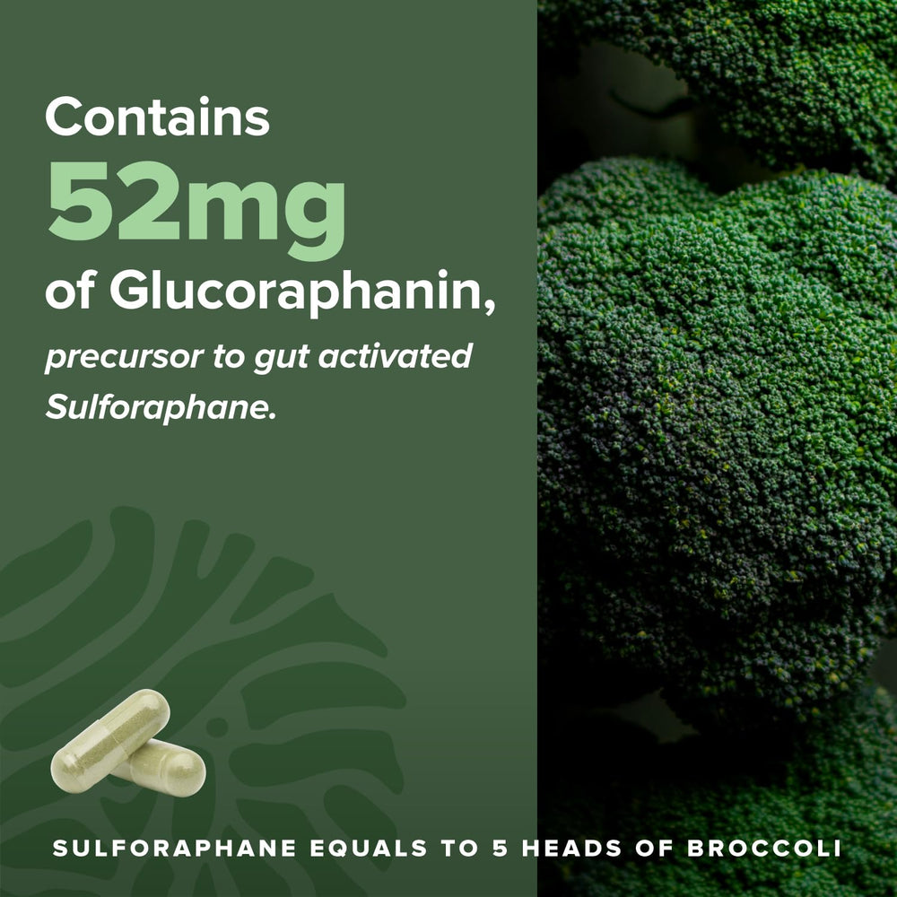 Complement Sulfora eco pouch packaging signaling sustainable packaging