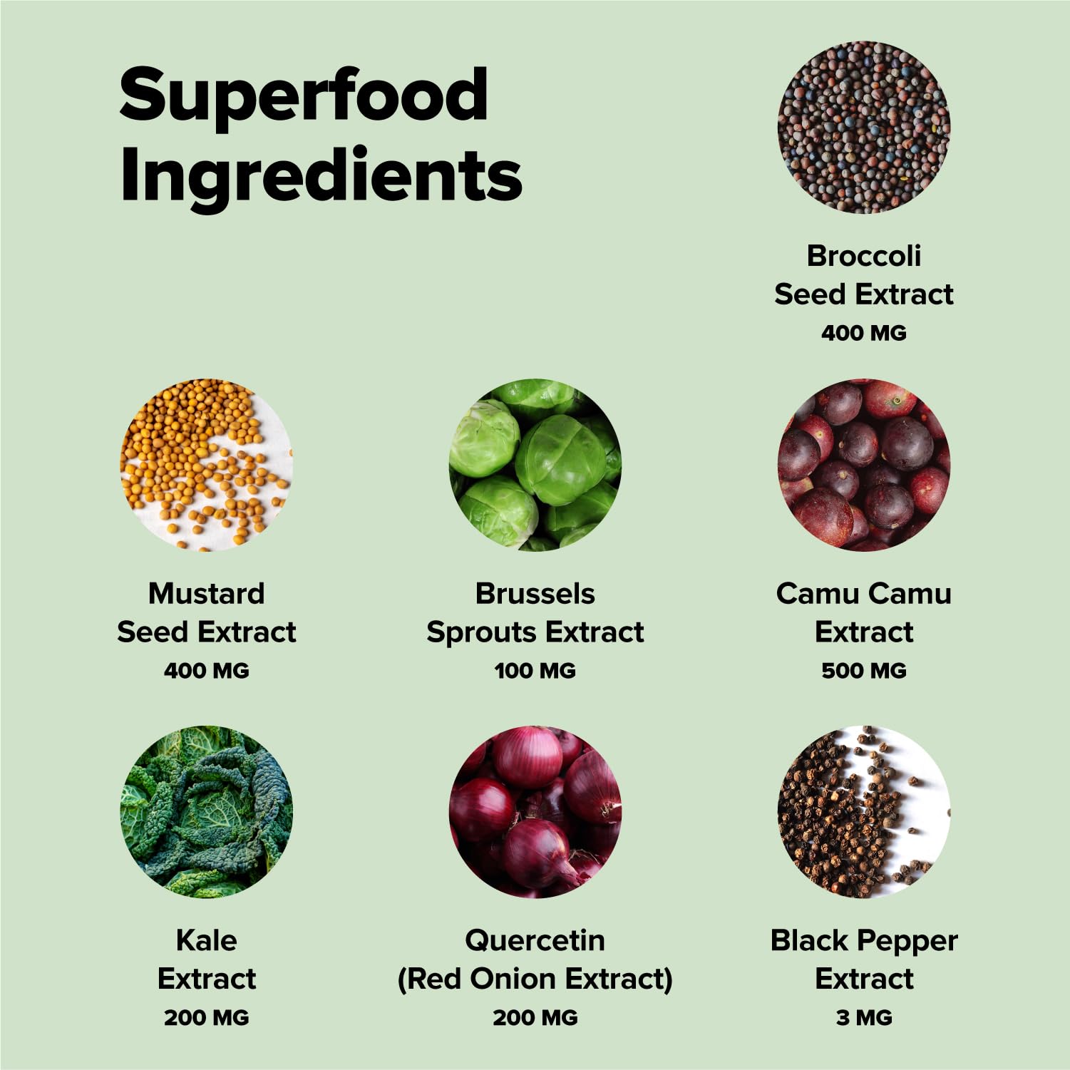 Complement Sulfora ingredients collage with broccoli seed, kale, camu camu for antioxidants