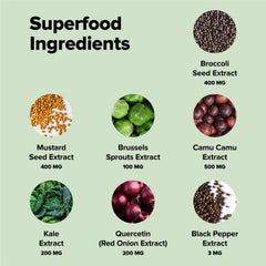Complement Sulfora ingredients collage with broccoli seed, kale, camu camu for antioxidants