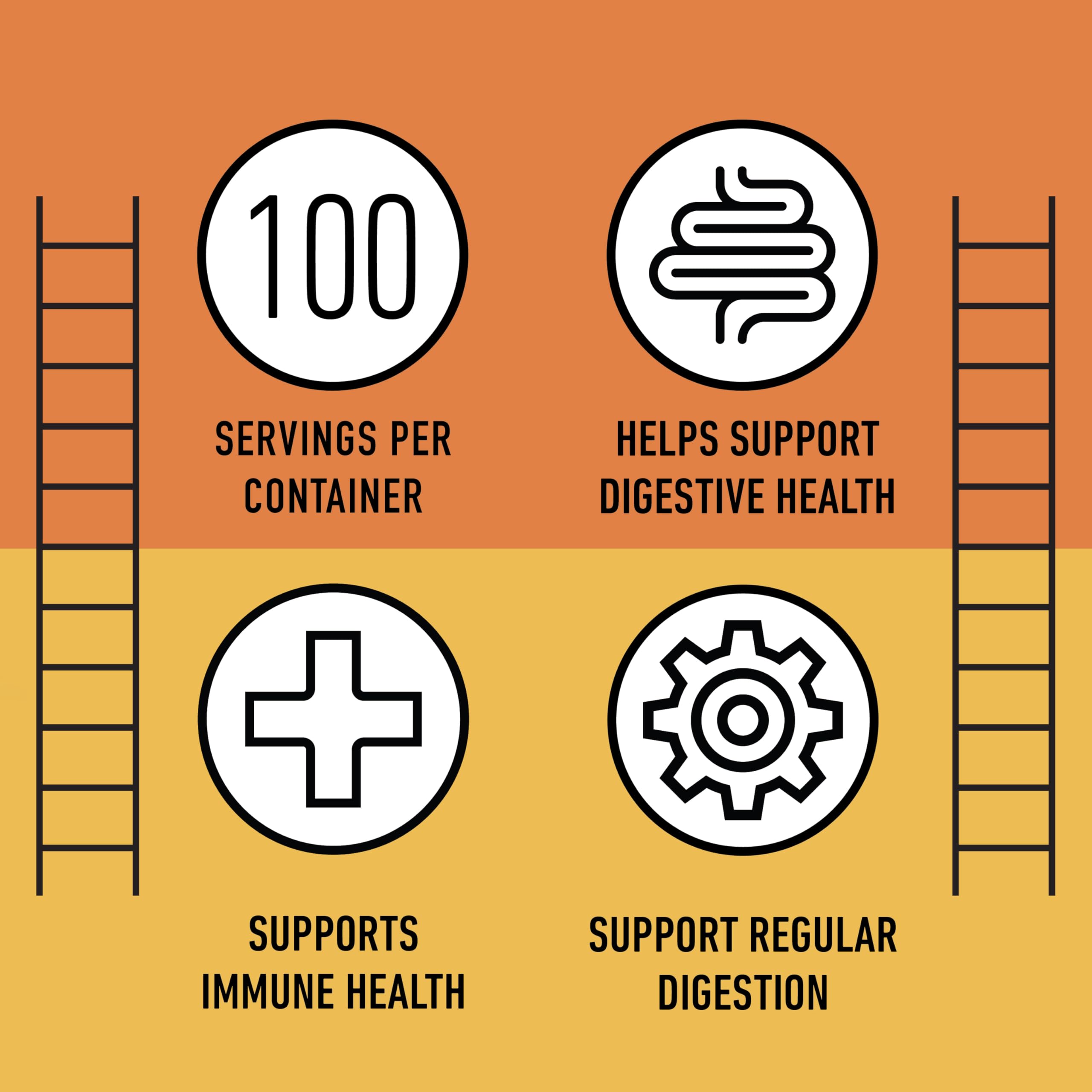 Complete Natural Papaya Enzyme Capsules fiber-content detail for fiber-rich formula