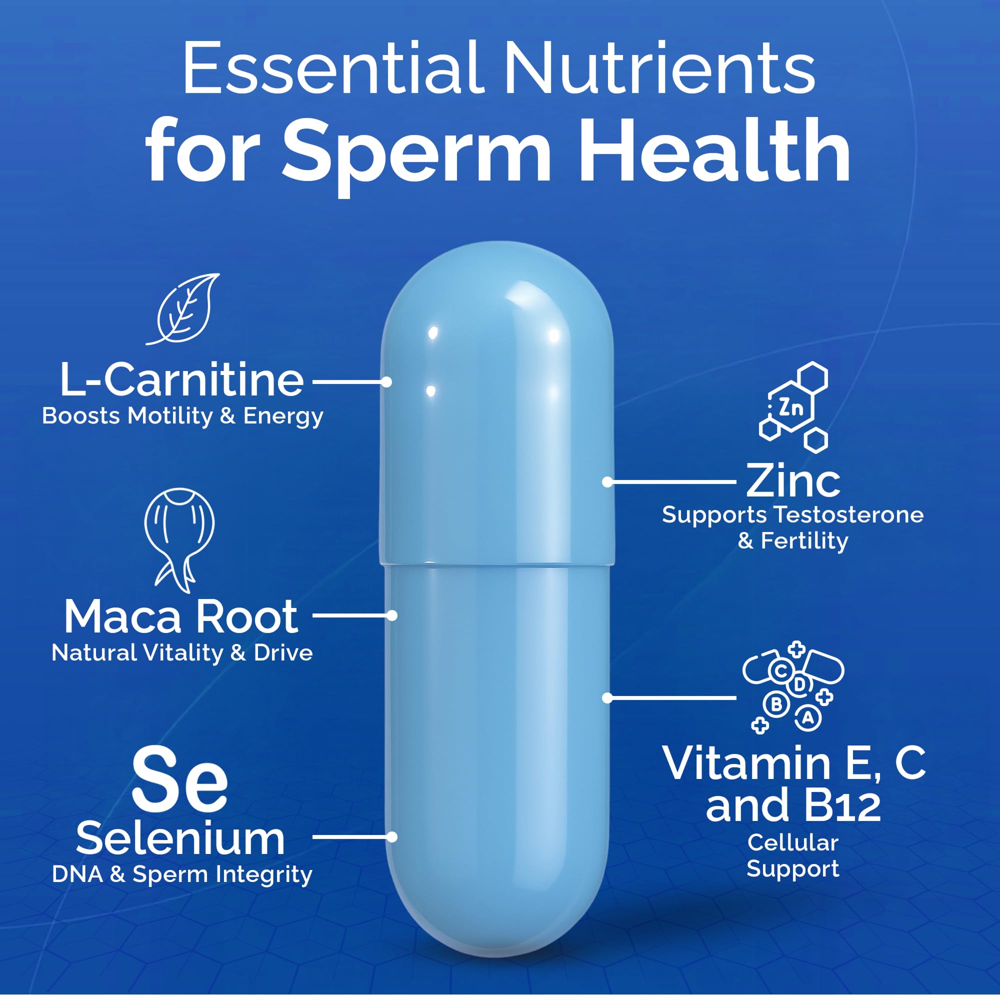 CONCEIVE PLUS zinc and vitamin D capsule emphasizing hormonal balance