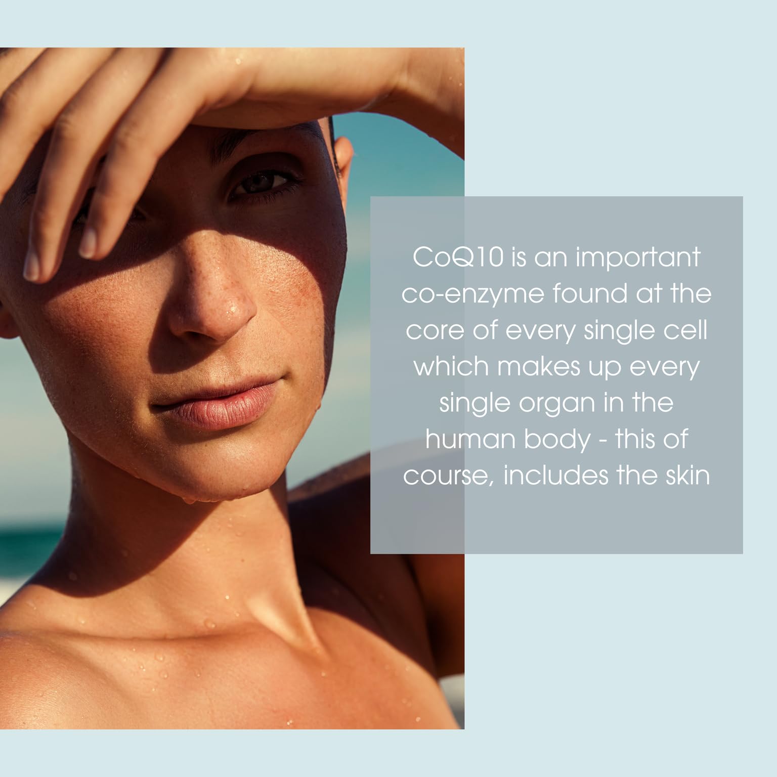 Graphic of XTERNA-Q CoQ10 peptides signaling firmer-looking skin.