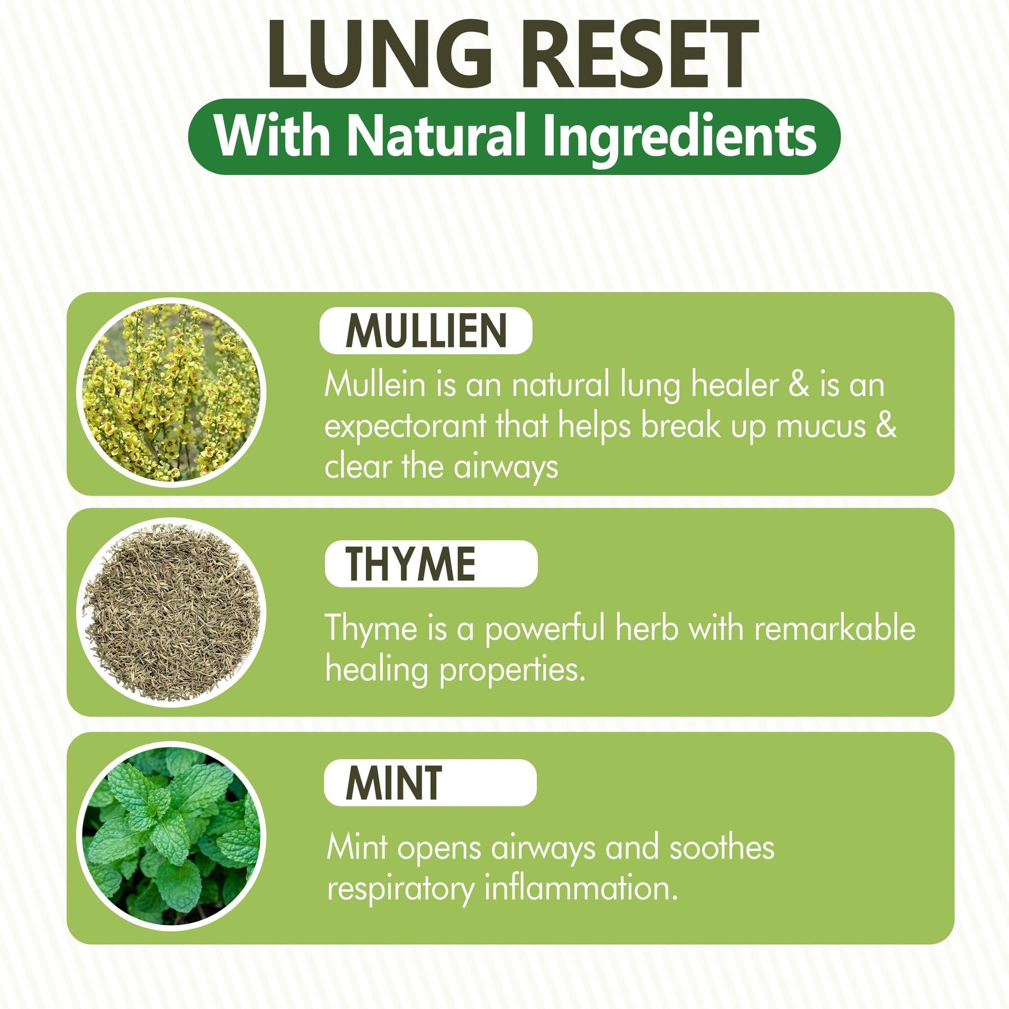 Convertta Lung Detox Diffuser Pen natural mint flavor enhances inhalations