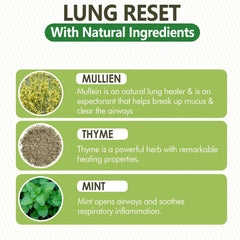 Convertta Lung Detox Diffuser Pen natural mint flavor enhances inhalations