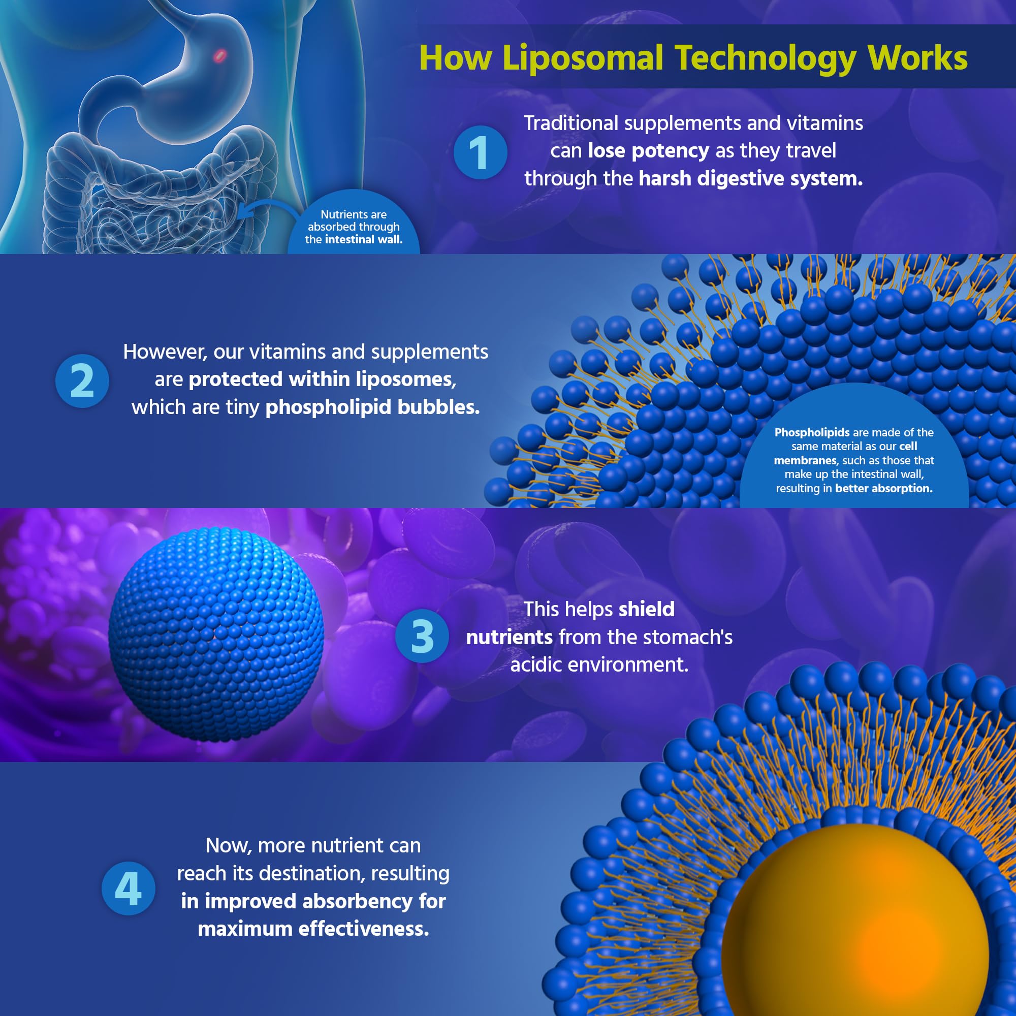 Core Med Science physician-developed concept with Dr. Bogdan Popa