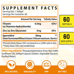 CORPORALIGHT high-absorption liposome delivery boosts spermidine delivery to cells
