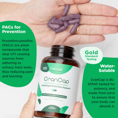 Close-up of cranberry extract used in CranCap PACs