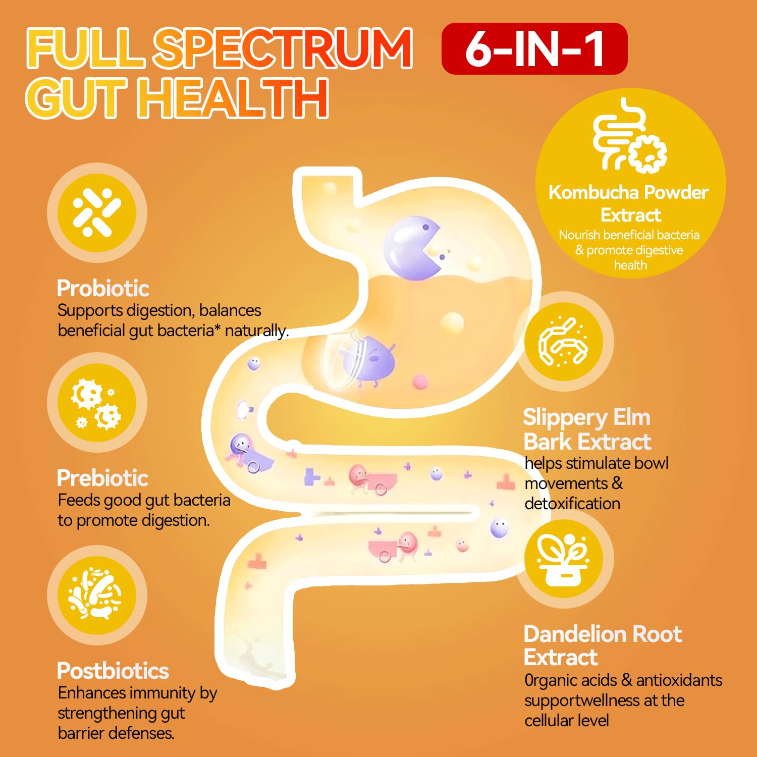 Crasye gummy texture close-up emphasizing chewable convenience for digestive care