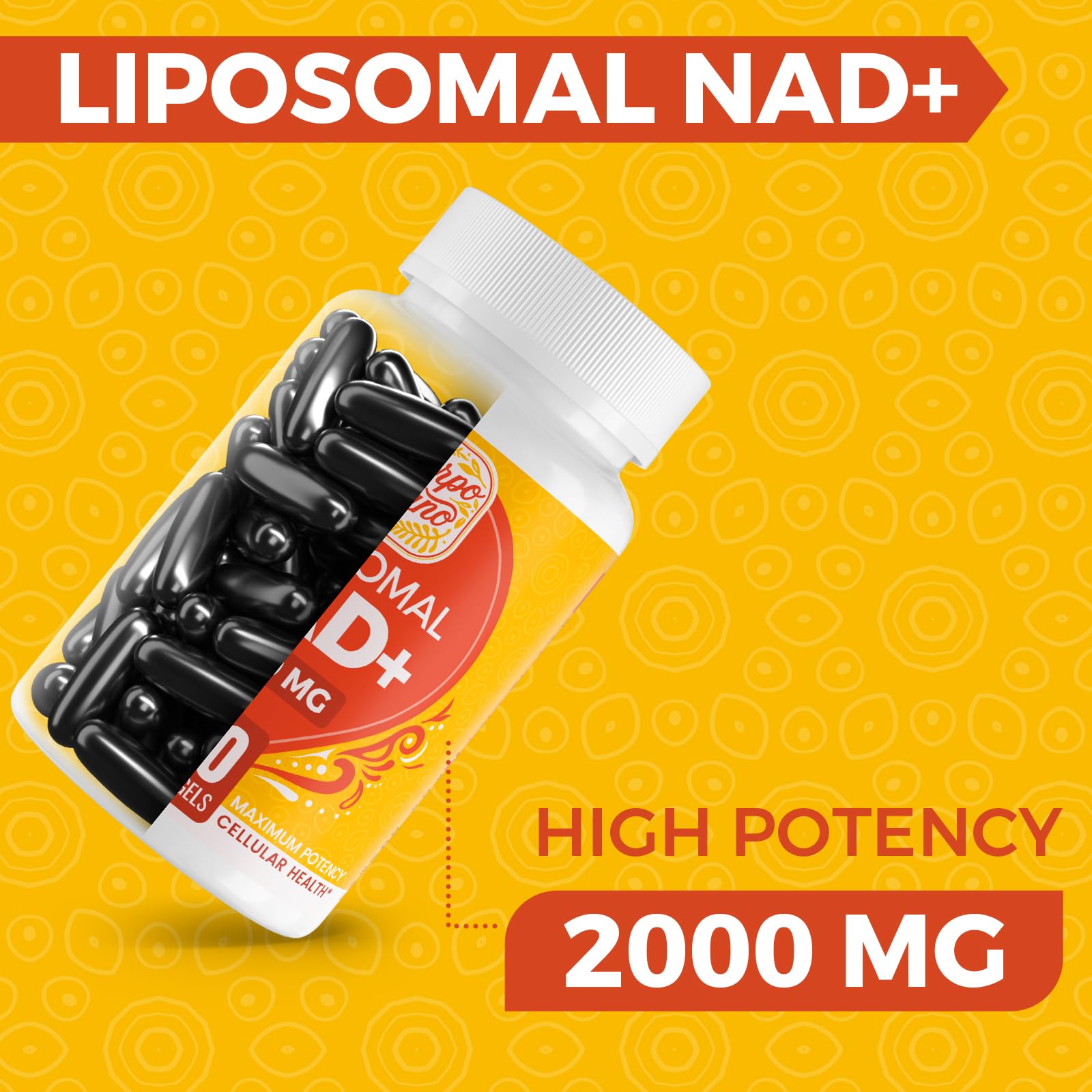 Cuerpo Sano liposomal delivery graphic illustrating higher bioavailability.