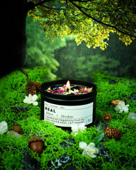 CULACEE New Orient fragrance profile captures cedarwood and citrus freshness