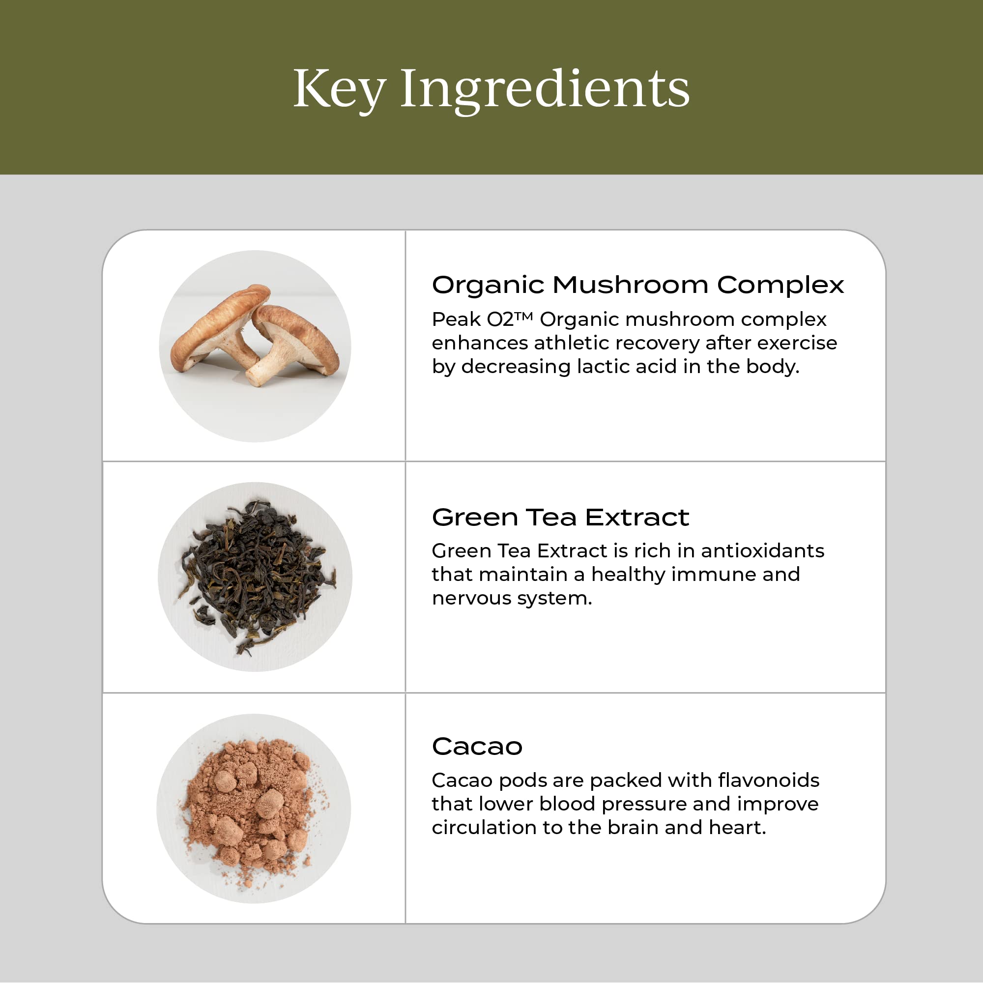 CYMBIOTIKA Liposomal Longevity Mushrooms coffee mix with rich chocolate flavor