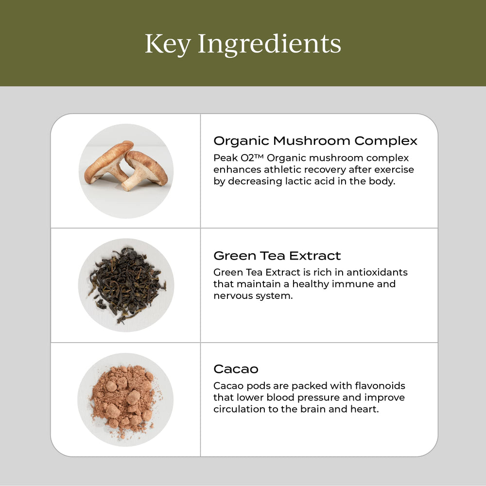CYMBIOTIKA Liposomal Longevity Mushrooms coffee mix with rich chocolate flavor