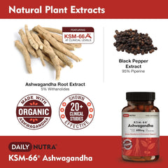 DailyNutra KSM-66 Ashwagandha bottle label emphasizes organic root extract.