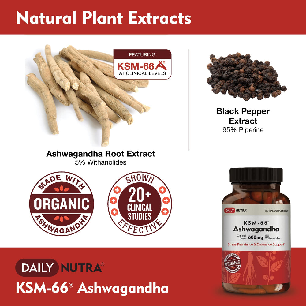 Organic DailyNutra KSM-66 Ashwagandha root close-up for calm focus.