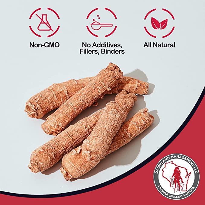 Scoop of Dairyland Red Panax Ginseng powder for easy daily measurement