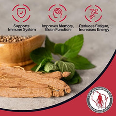Dairyland Red Panax powder in smoothie for a balanced morning boost.