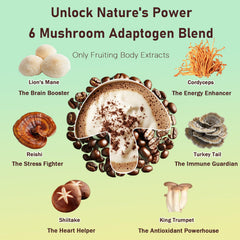 Daitea Reishi and Turkey Tail mushrooms in a bowl suggest immune-support flavors.