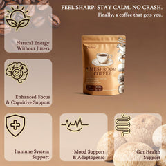 Daitea Shiitake and Cordyceps display for a smooth, balanced brew.