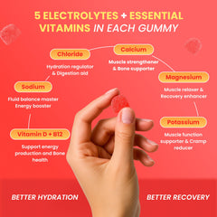 Day One Electrogummies fruit punch nutrition panel highlights electrolyte blend
