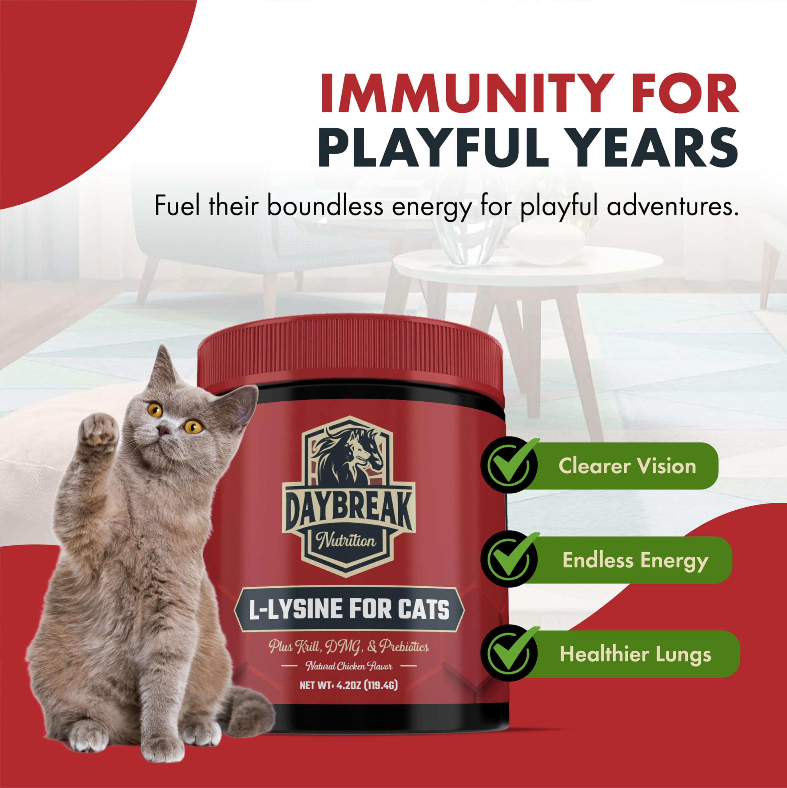 Daybreak Nutrition eye-health lysine cat image illustrating eye health support
