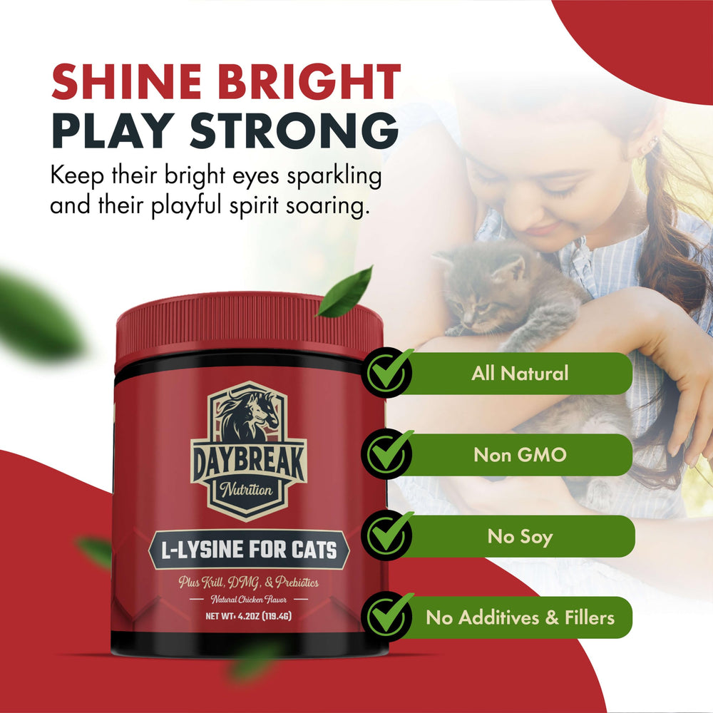 Daybreak Nutrition krill omega-3 boost image highlighting fatty acid support