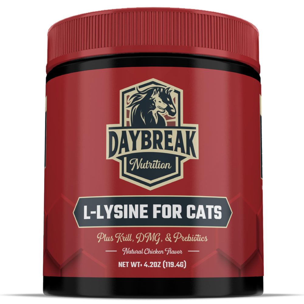 Daybreak Nutrition L-Lysine powder for cats bottle view highlighting immune and respiratory support