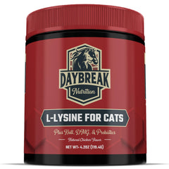 Daybreak Nutrition L-Lysine powder for cats bottle view highlighting immune and respiratory support