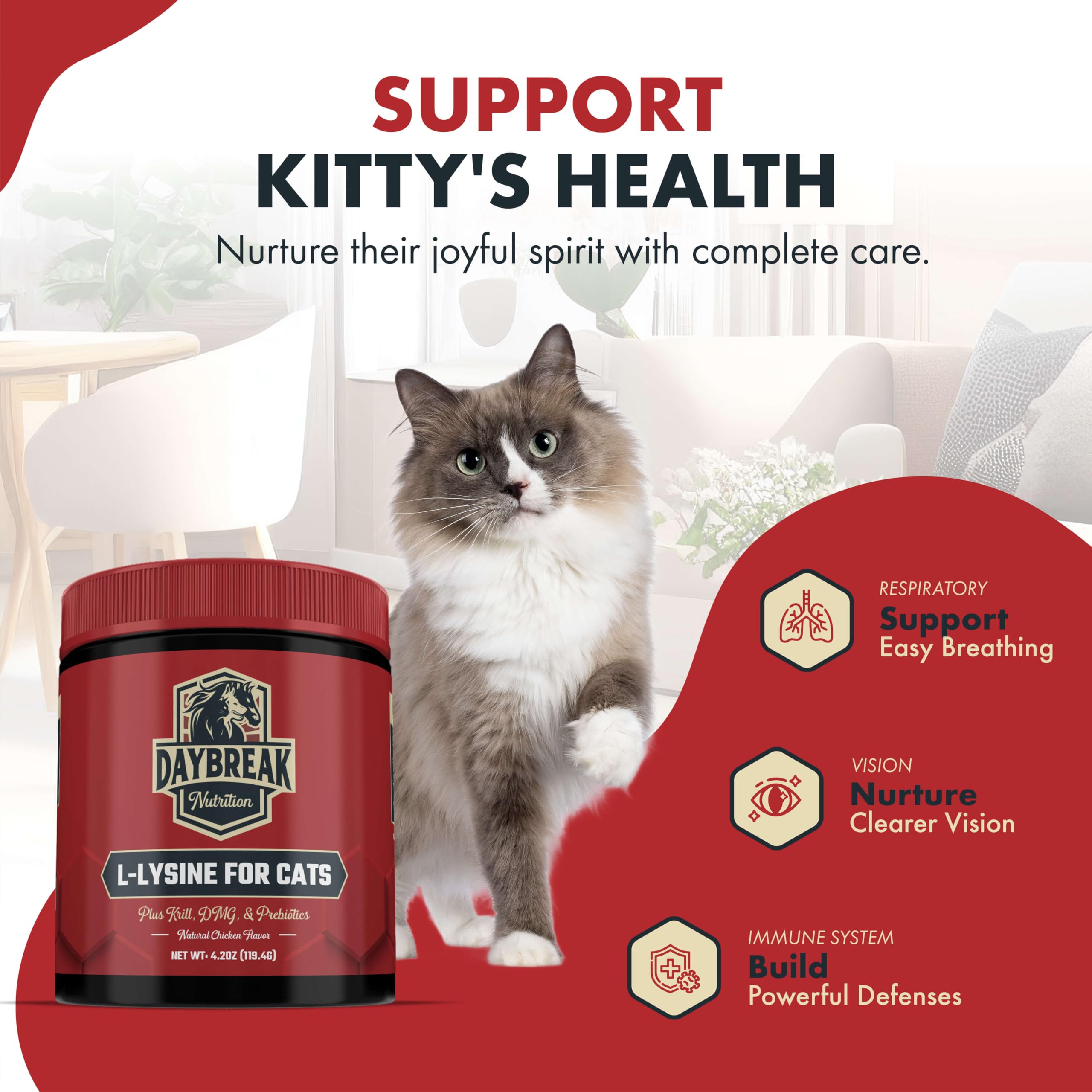 Daybreak Nutrition prebiotics-lysine blend visual emphasizing gut health benefits