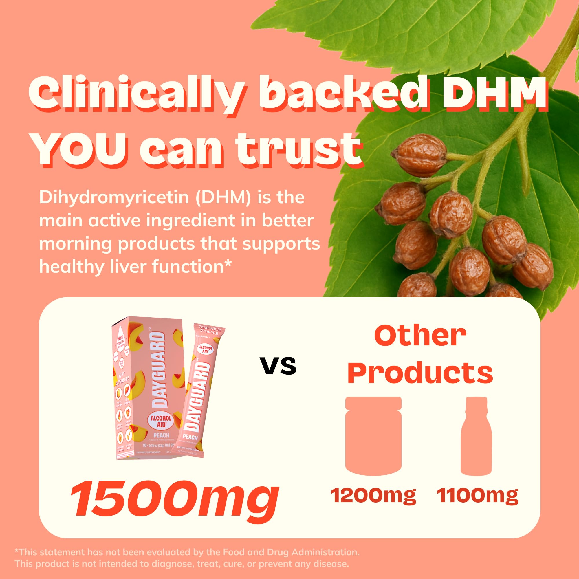 DayGuard ingredients icons showing turmeric ginger DHM electrolytes and B vitamins