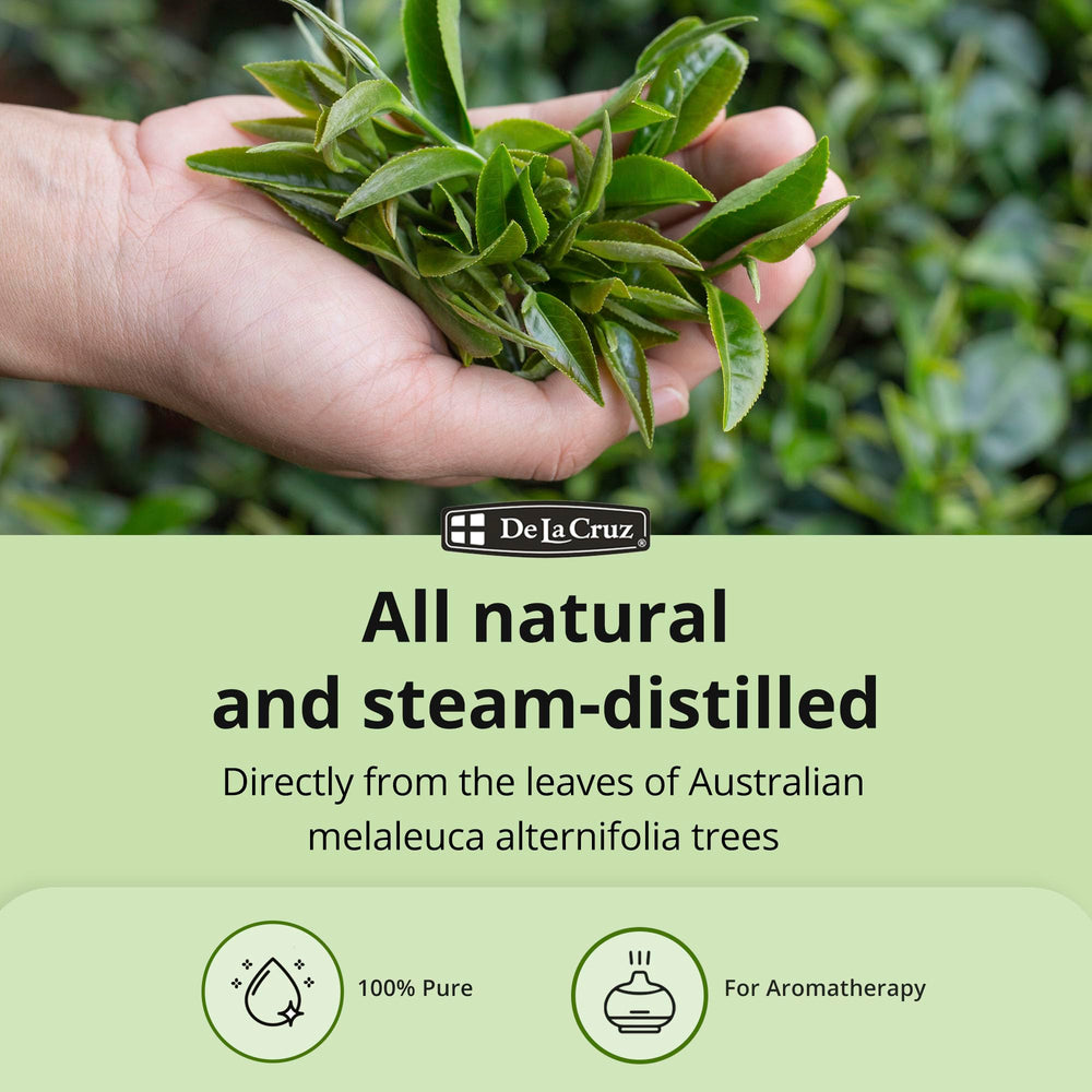 De La Cruz Tea Tree Oil diffuser application for calming spaces