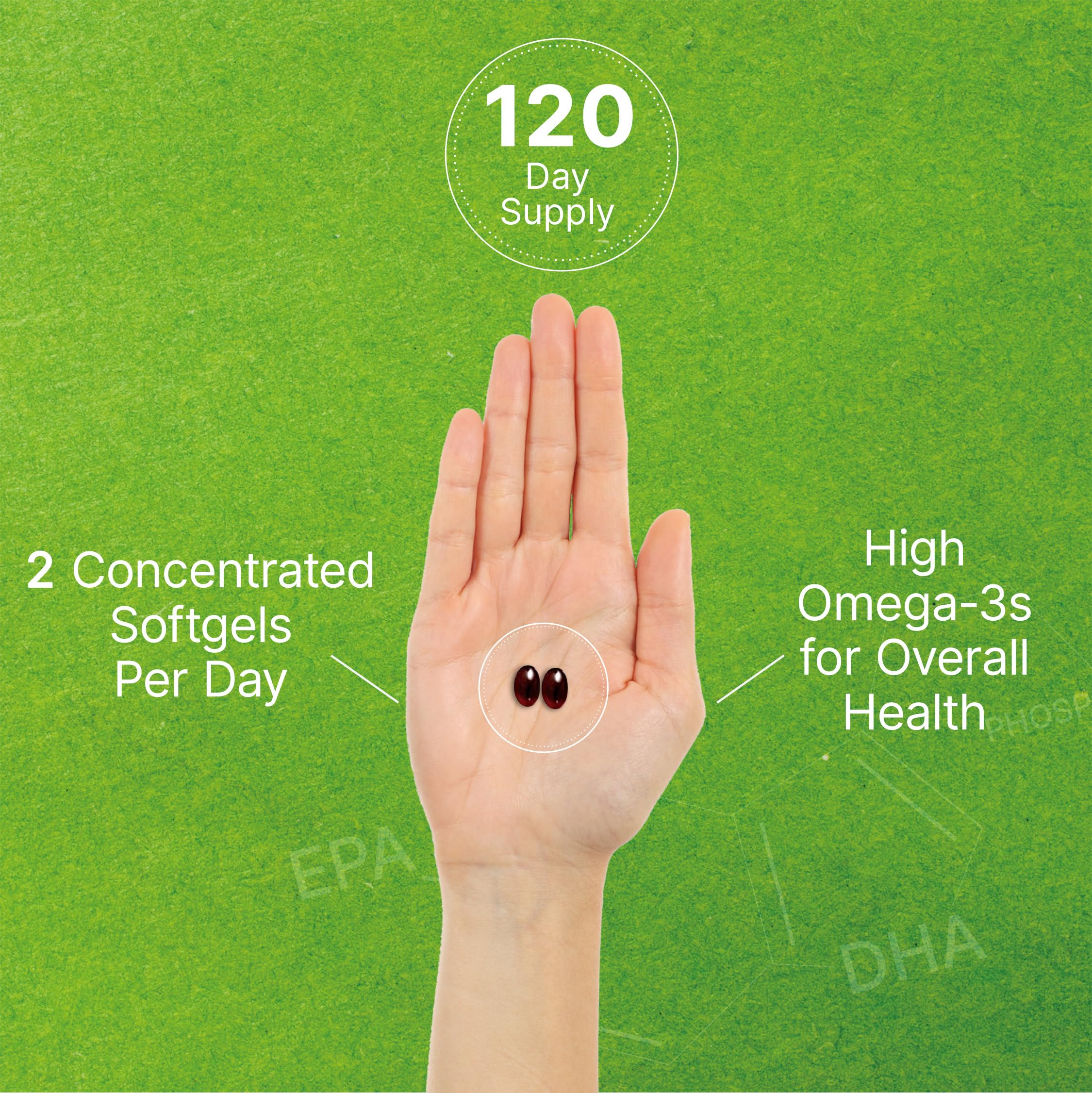 DEAL SUPPLEMENT Antarctic Krill Oil phospholipids emphasis for potential absorption