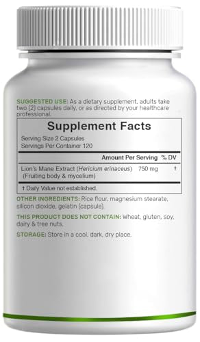 DEAL SUPPLEMENT Lions Mane mycelium extract close-up highlighting rich nutrients